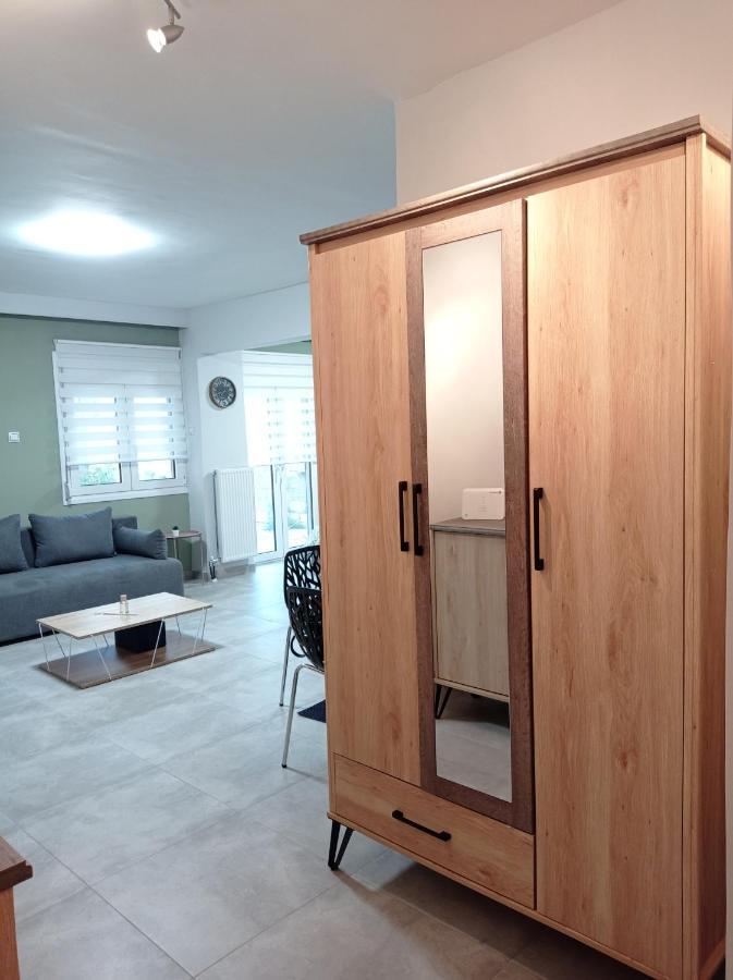 Central Home 特里卡拉 外观 照片